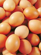 讓孩子越吃越聰明的食物