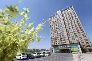 新疆佳音醫(yī)院